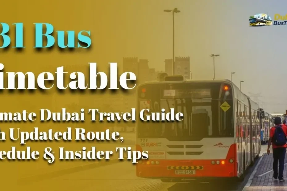 F31 Bus Timetable