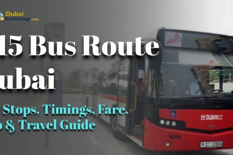 C15 Bus Route Dubai 2026: Full Stops, Timings, Fare, Map & Travel Guide