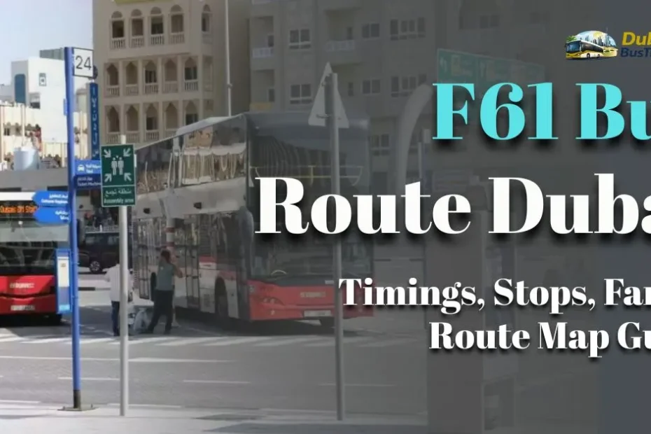 F61 Bus Route Dubai 2026