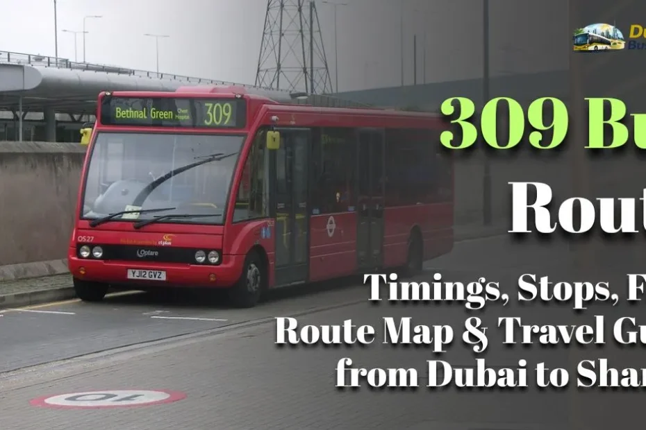 309 Bus Route