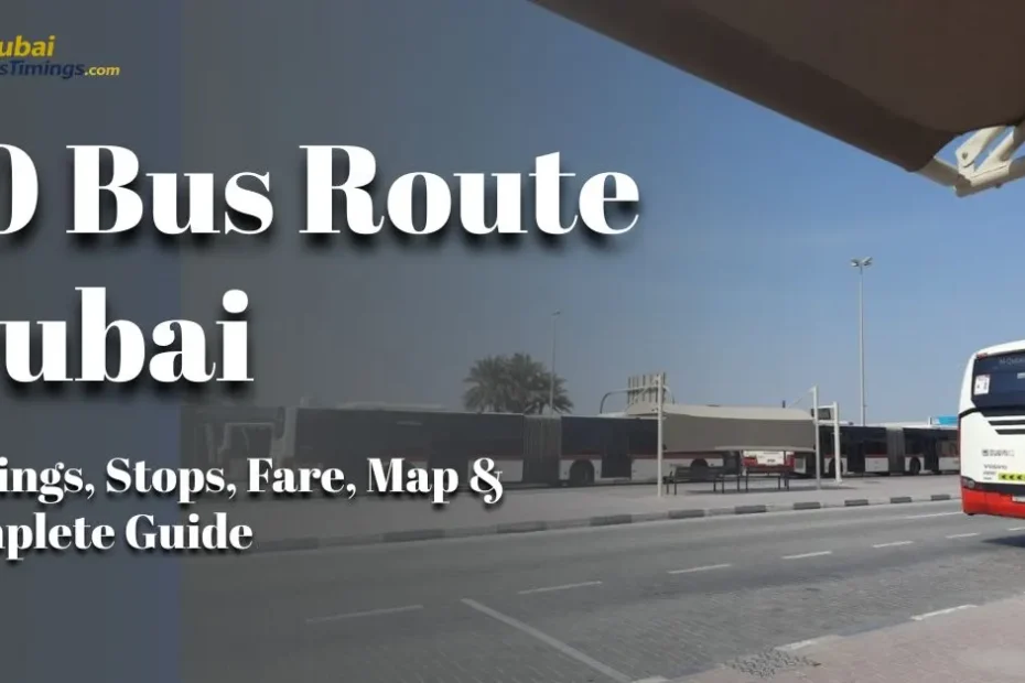 10 Bus Route Dubai