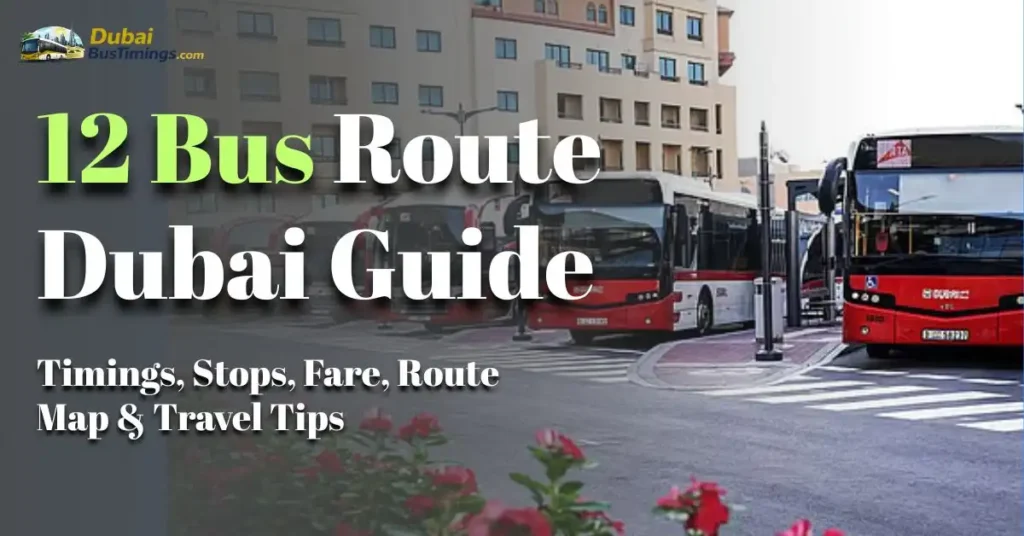 12 Bus Route Dubai Guide