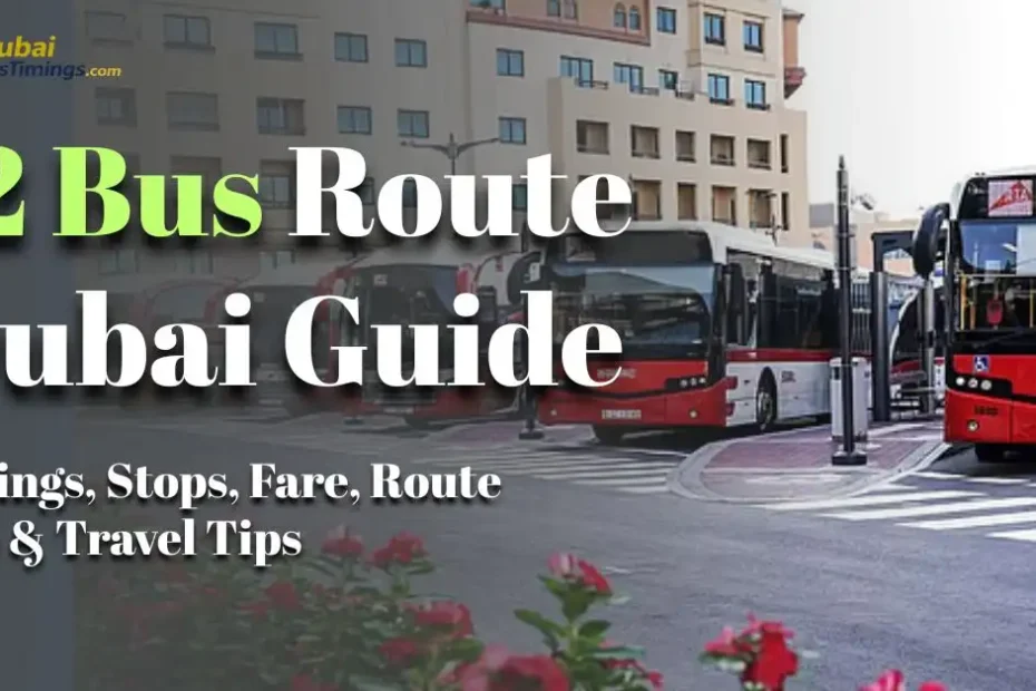 12 Bus Route Dubai Guide