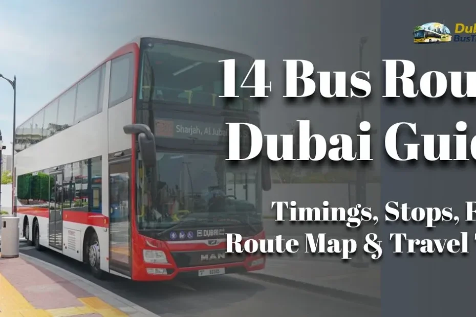 14 Bus Route Dubai